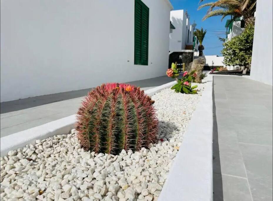 Refugio Del Caracol Apartment ปูแอร์โตเดลคาร์เมน ภายนอก รูปภาพ